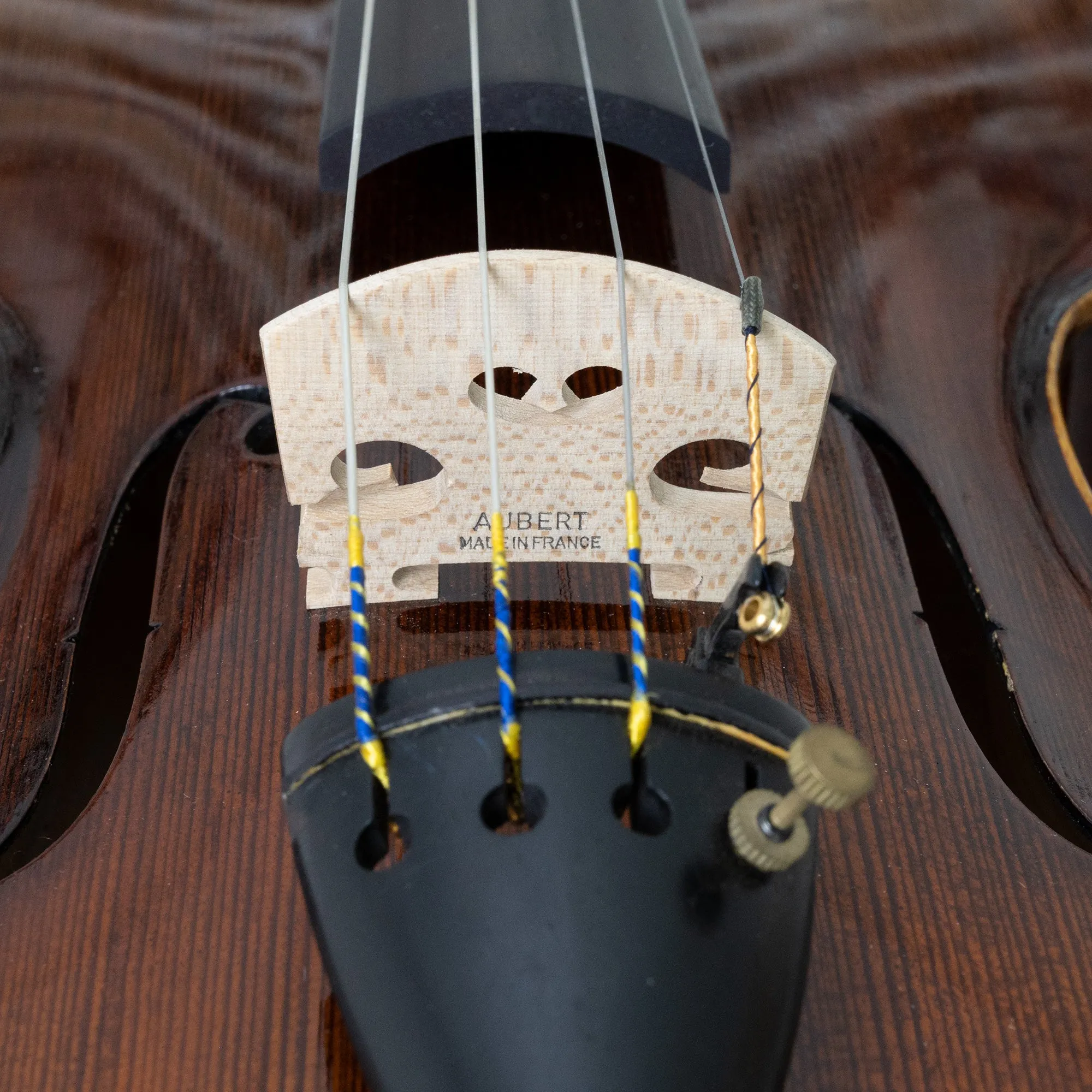 CLEARANCE Anton Gerard Viola Outfit
